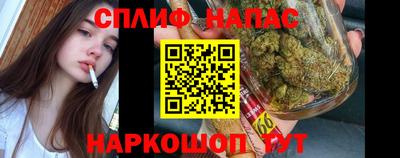 дживик Можга