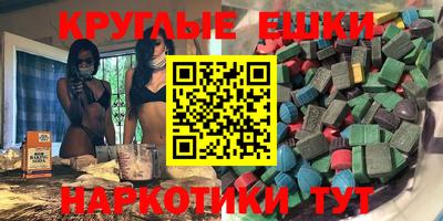 дживик Можга